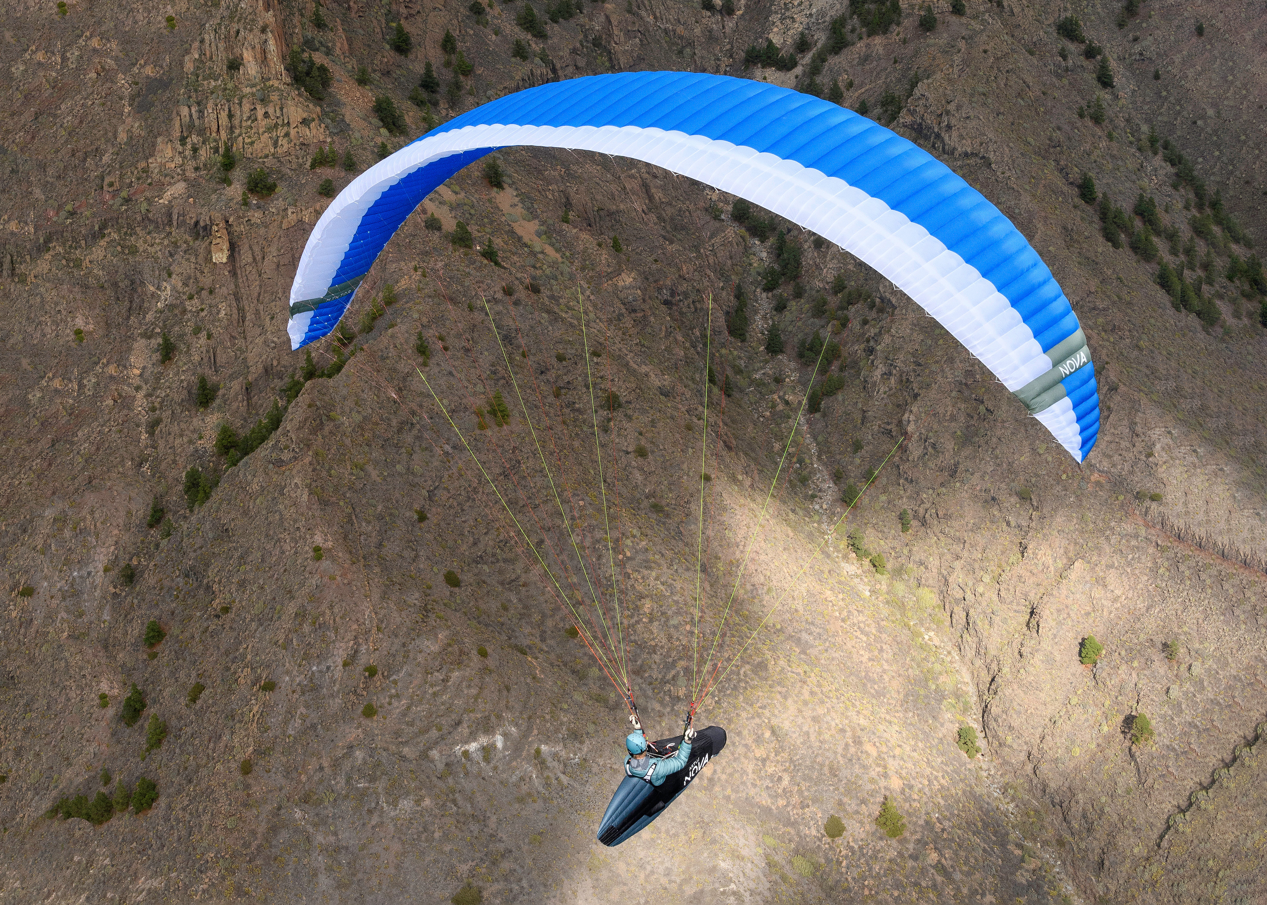 NOVA Performance Paragliders - MENTOR 7