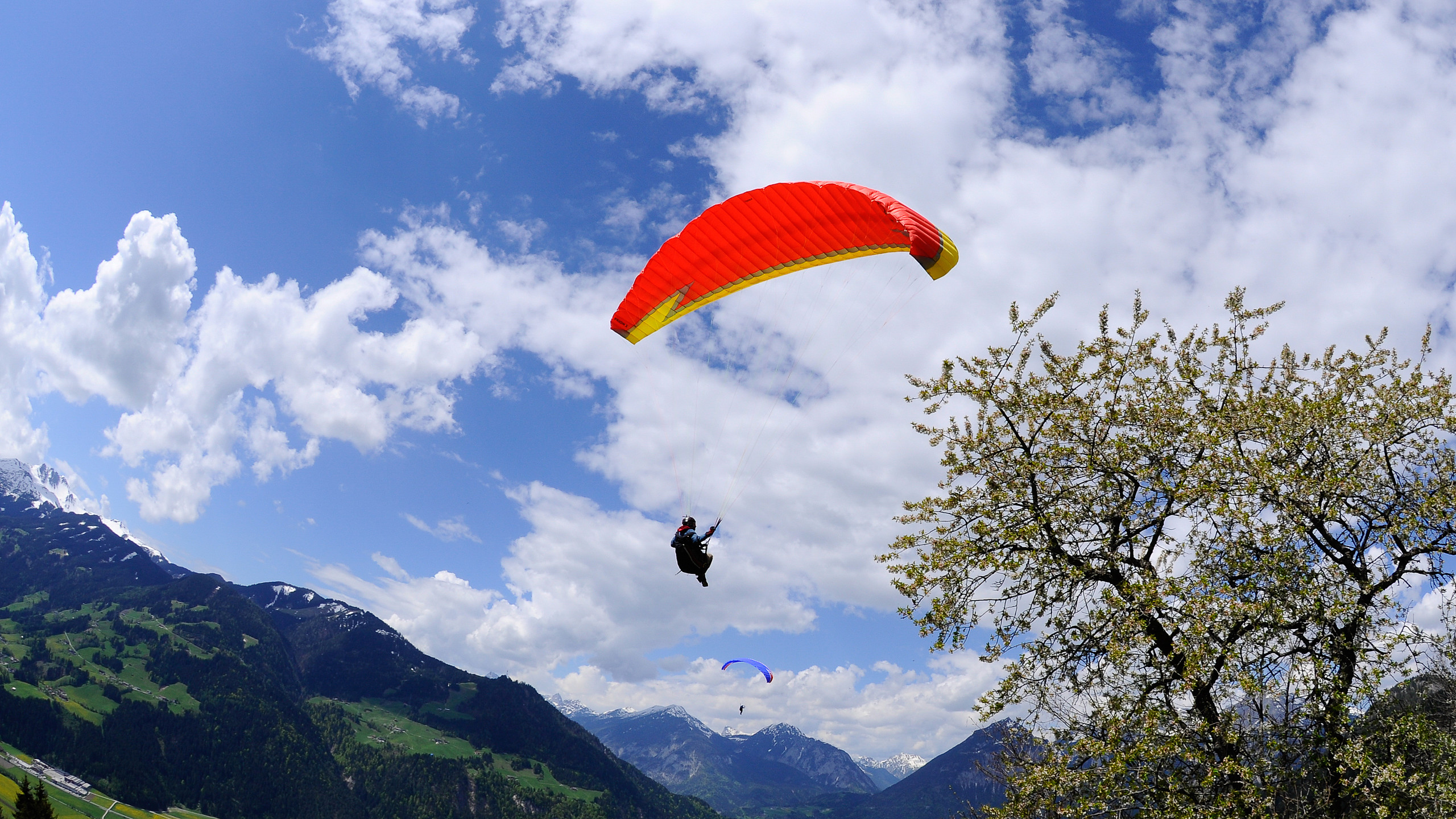 NOVA Performance Paragliders - PRION 2